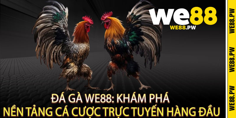 Đá Gà We88 - Cực phẩm đấu trường, Thắng cực đã tay 2 Đá Gà We88: Khám Phá Nền Tảng Cá Cược Trực Tuyến Hàng Đầu